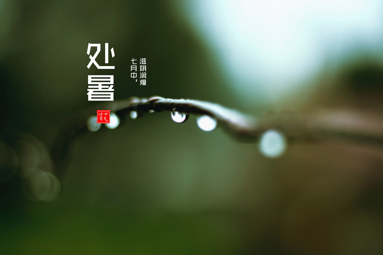 处暑
