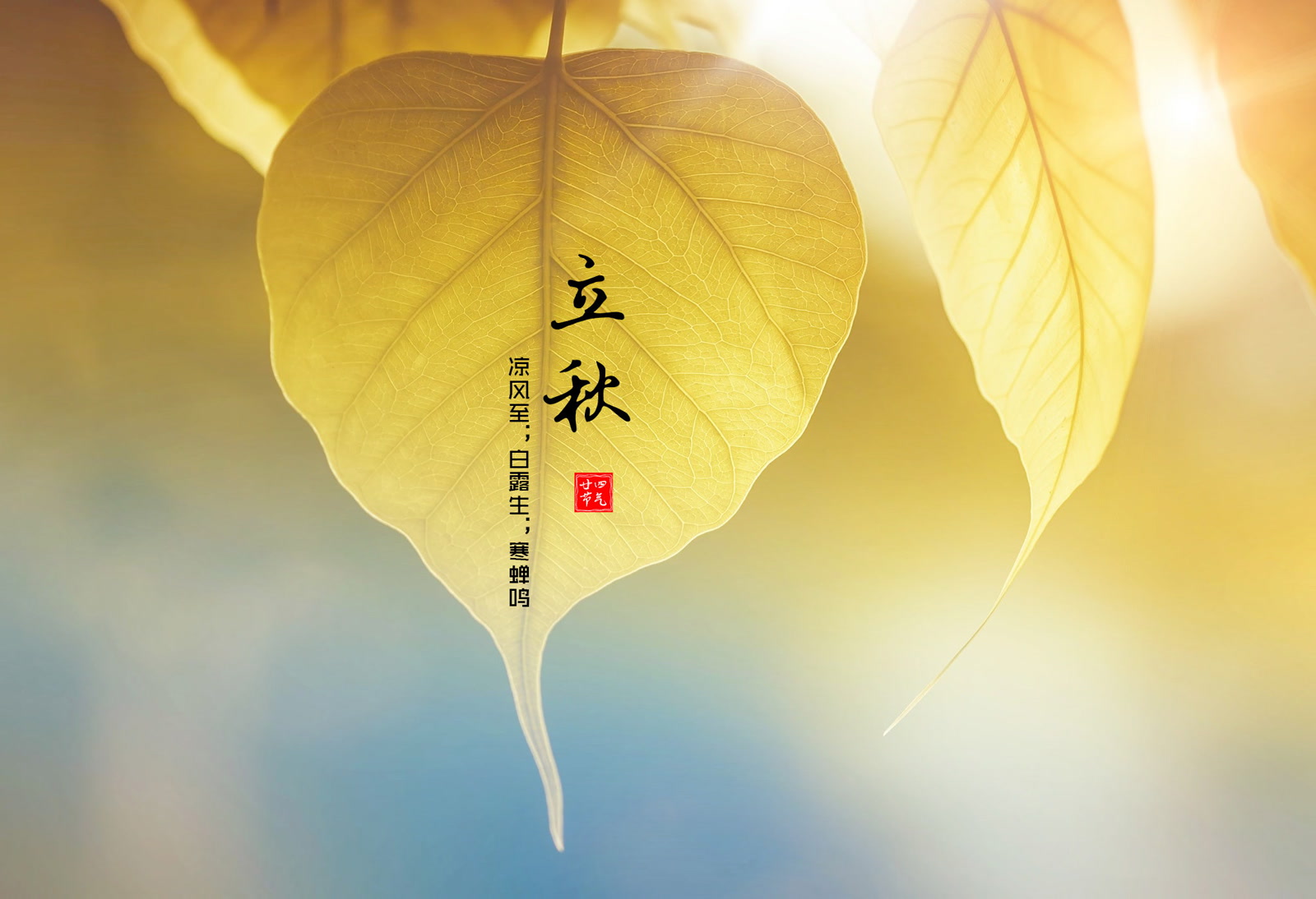 立秋